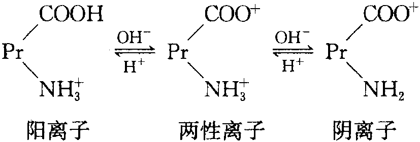 三、農(nóng)用抗生素的分離純化方法